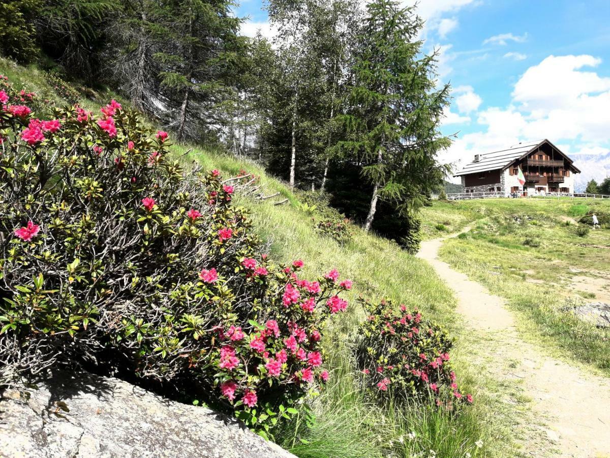 Rifugio Al Lago Del Mortirolo In Inverno Raggiungibile Solo A Piedi Monno Exterior foto